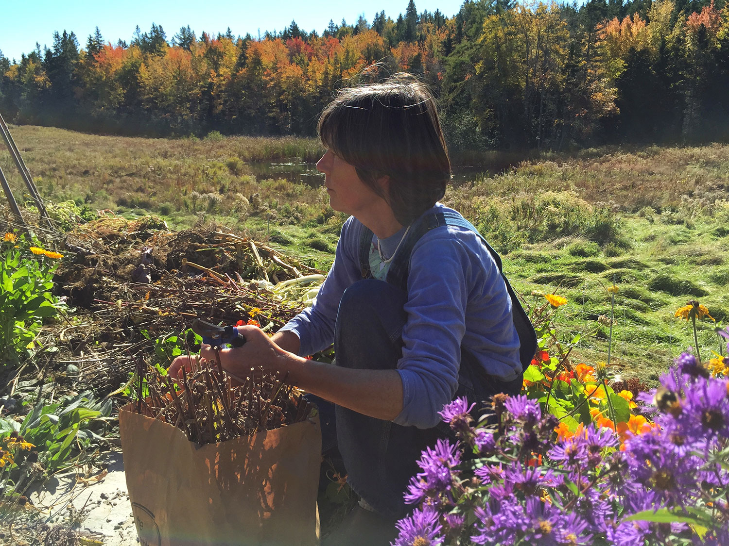 Building a Volunteer Cadre for Native Seed Collection - Village and ...